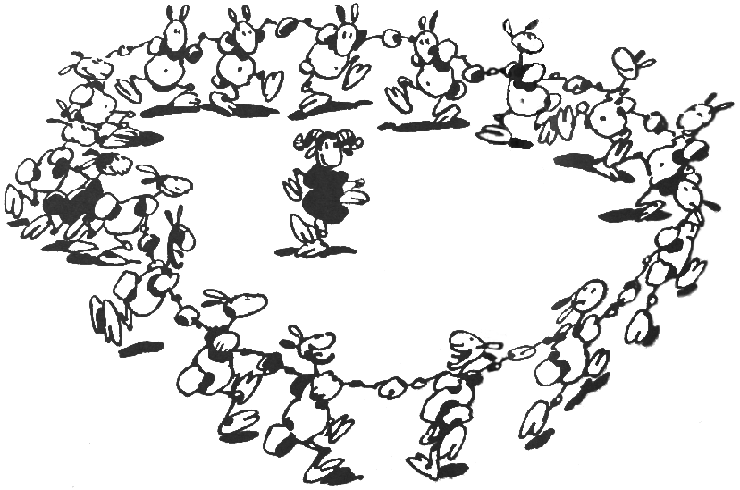 Les moutons font la ronde...